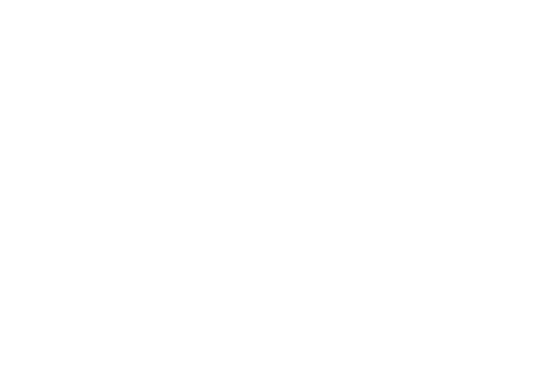 Hungarian Premium Logo weiß